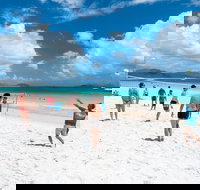 Whitehaven Beach and Hamilton Island Cruise - Accommodation Search