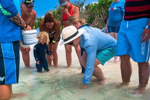 Whitehaven Beach And Hamilton Island Cruise - Accommodation Search 1