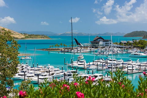 Whitehaven Beach And Hamilton Island Cruise - Accommodation Search 3