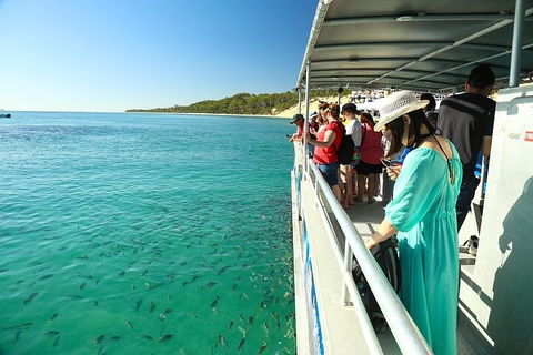 Adventure Moreton Island Wrecks Adventure Package - Accommodation Search 1