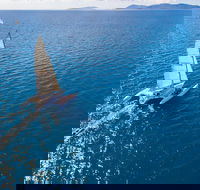 2-Night Whitsunday Islands Sailing Adventure on Trimaran Avatar - Accommodation Search