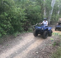 Cairns ATV Adventure Tour and Morning Train - Accommodation Search