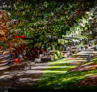 Fully Inclusive Blue Mountains Private Tour inc Scenic World  Featherdale entry - Accommodation Search