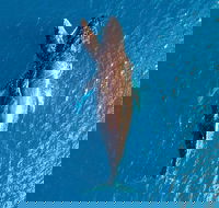 Buccaneer Explorer - Accommodation Search