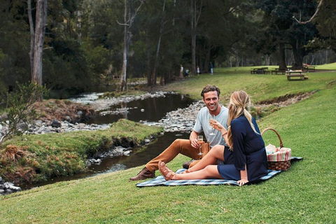 Mt Tamborine - Hinterland Wonders Self Guided - Accommodation Search 0