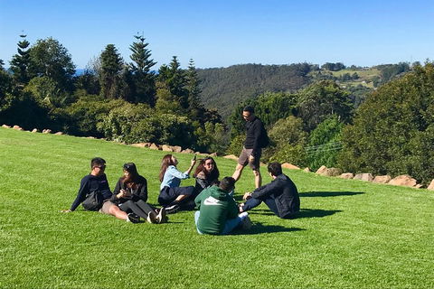 Mt Tamborine - Hinterland Wonders Self Guided - Accommodation Search 1