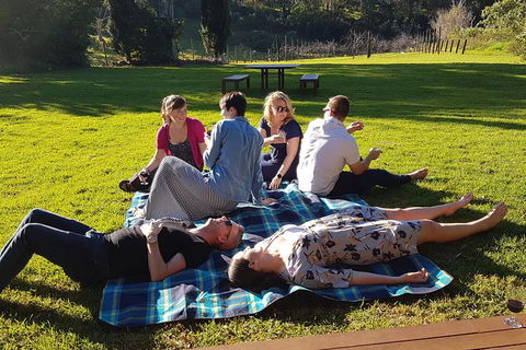 Mt Tamborine - Hinterland Wonders Self Guided - Accommodation Search 2