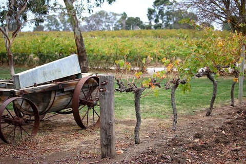 Maggie Beer Farm - Barossa Valley Regional Tour - Accommodation Search 1