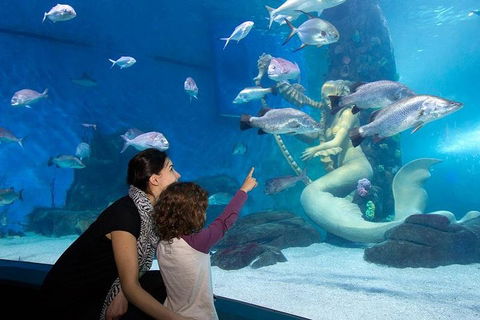SEA LIFE Melbourne Aquarium Admission Ticket - Accommodation Search 4