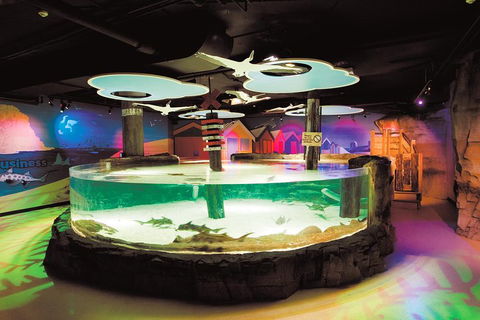SEA LIFE Melbourne Aquarium Admission Ticket - Accommodation Search 5