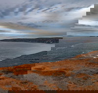 Kangaroo Island Luxury Small Group 'Flinders Chase Focus' Full Day Tour - Accommodation Search