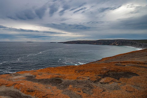 Kangaroo Island Luxury Small Group 'Flinders Chase Focus' Full Day Tour - Accommodation Search 0