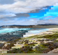 Kangaroo Island Luxury Small Group 'East End Explorer' Full Day Tour - Accommodation Search