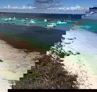 Experience Rottnest with Ferry  Bike Hire from Perth or Fremantle - Accommodation Search