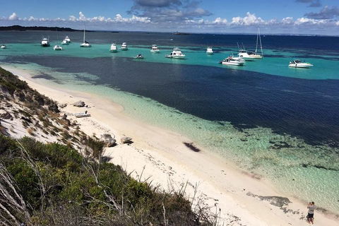 Experience Rottnest With Ferry & Bike Hire From Perth Or Fremantle - Accommodation Search 0