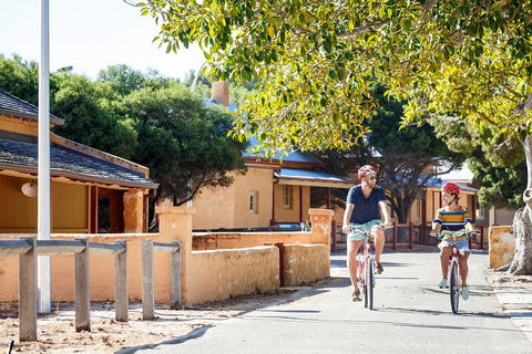 Experience Rottnest With Ferry & Bike Hire From Perth Or Fremantle - Accommodation Search 1