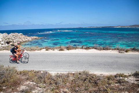 Experience Rottnest With Ferry & Bike Hire From Perth Or Fremantle - Accommodation Search 2