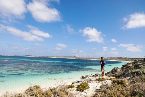 Experience Rottnest With Ferry & Bike Hire From Perth Or Fremantle - Accommodation Search 3