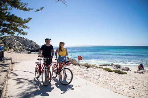 Experience Rottnest With Ferry & Bike Hire From Perth Or Fremantle - Accommodation Search 4