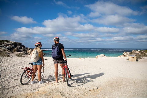 Experience Rottnest With Ferry & Bike Hire From Perth Or Fremantle - Accommodation Search 5