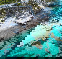 Rottnest Island Round-Trip Ferry from Perth or Fremantle - Accommodation Search