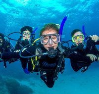 Great Barrier Reef Diving and Snorkeling Cruise from Cairns - Accommodation Search