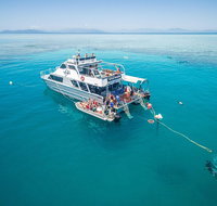 Ocean Freedom Great Barrier Reef Personal Luxury Snorkel  Dive Cruise Cairns - Accommodation Search