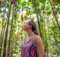 5 Day Australia Retreat Queensland Daintree - Accommodation Search