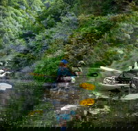 Byron Bay Rainforest Fishing - Accommodation Search