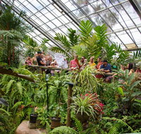 Australian Butterfly Sanctuary - Accommodation Search