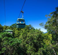 Classic Kuranda by Skyrail and Scenic Railway Including Rainforestation Koala and Wildlife Park and Pamagirri Aboriginal Experi - Accommodation Search