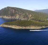 3-Hour Bruny Island Cruise from Adventure Bay Bruny Island - Accommodation Search