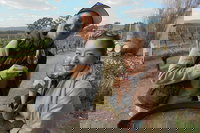 Swan Valley River Cruise and Wine Tasting Day Trip from Perth