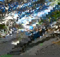 1/2 day Swan Valley Wine Cheese  Chocolate Tour Inc Afternoon Cruise to Perth - Accommodation Search