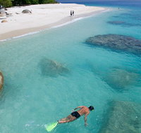 Fitzroy Island Day Trip from Cairns - Accommodation Search