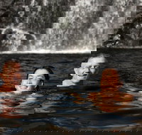 3 Day 4WD Dragonfly Dreaming Top End Safari - Accommodation Search