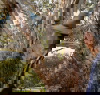 NEW TOUR - Kangaroo Island Road to Recovery Tour 1 Day/1 Night - Accommodation Search