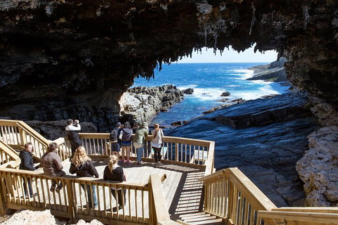 Full Day Flinders Chase Tour From Kangaroo Island - Accommodation Search 1