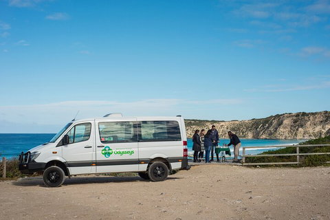 Full Day Flinders Chase Tour From Kangaroo Island - Accommodation Search 3