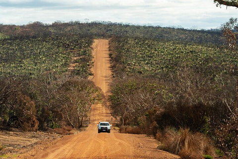 Full Day Flinders Chase Tour From Kangaroo Island - Accommodation Search 4