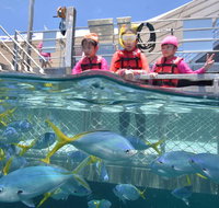 Outer Reef Pontoon Experience from Cairns - Accommodation Search