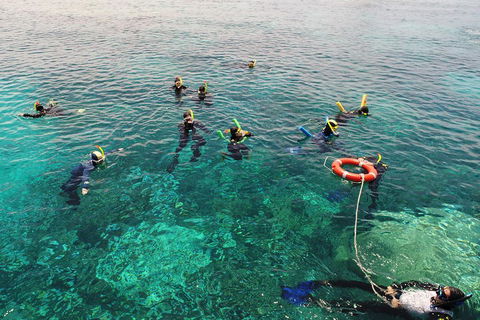 Seastar Luxury Outer Great Barrier Reef Island And Reef Tour From Cairns - Accommodation Search 2