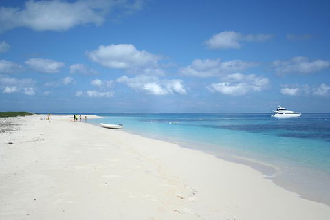 Seastar Luxury Outer Great Barrier Reef Island And Reef Tour From Cairns - Accommodation Search 3
