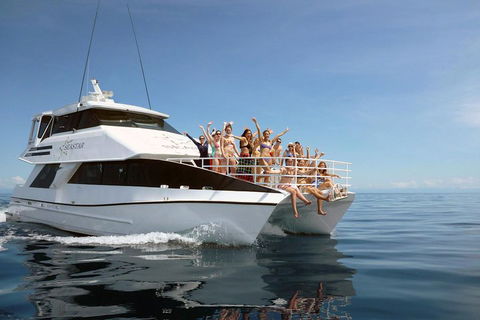 Seastar Luxury Outer Great Barrier Reef Island And Reef Tour From Cairns - Accommodation Search 4