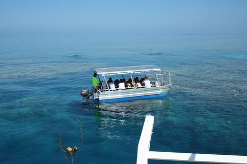 Seastar Luxury Outer Great Barrier Reef Island And Reef Tour From Cairns - Accommodation Search 5