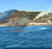 Kayaking with Dolphins in Byron Bay Guided Tour - Accommodation Search