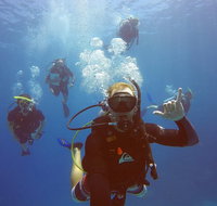 12-Day Great Barrier Reef Marine Conservation Program from Cairns - Accommodation Search