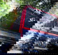 Blue Mountains Hop-on Hop-off Tour with Optional Scenic World Rides - Accommodation Search