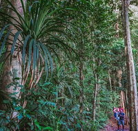 Atherton Tablelands Rain Forest by Night from Cairns - Accommodation Search
