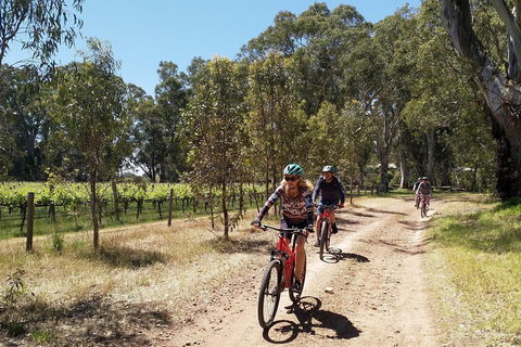 McLaren Vale Wine Tour By Bike - Accommodation Search 1
